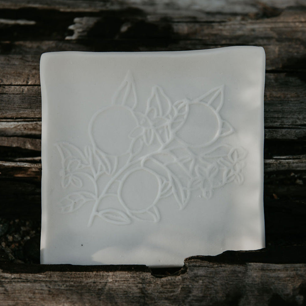 
                  
                    White Porcelain Soap Dish
                  
                