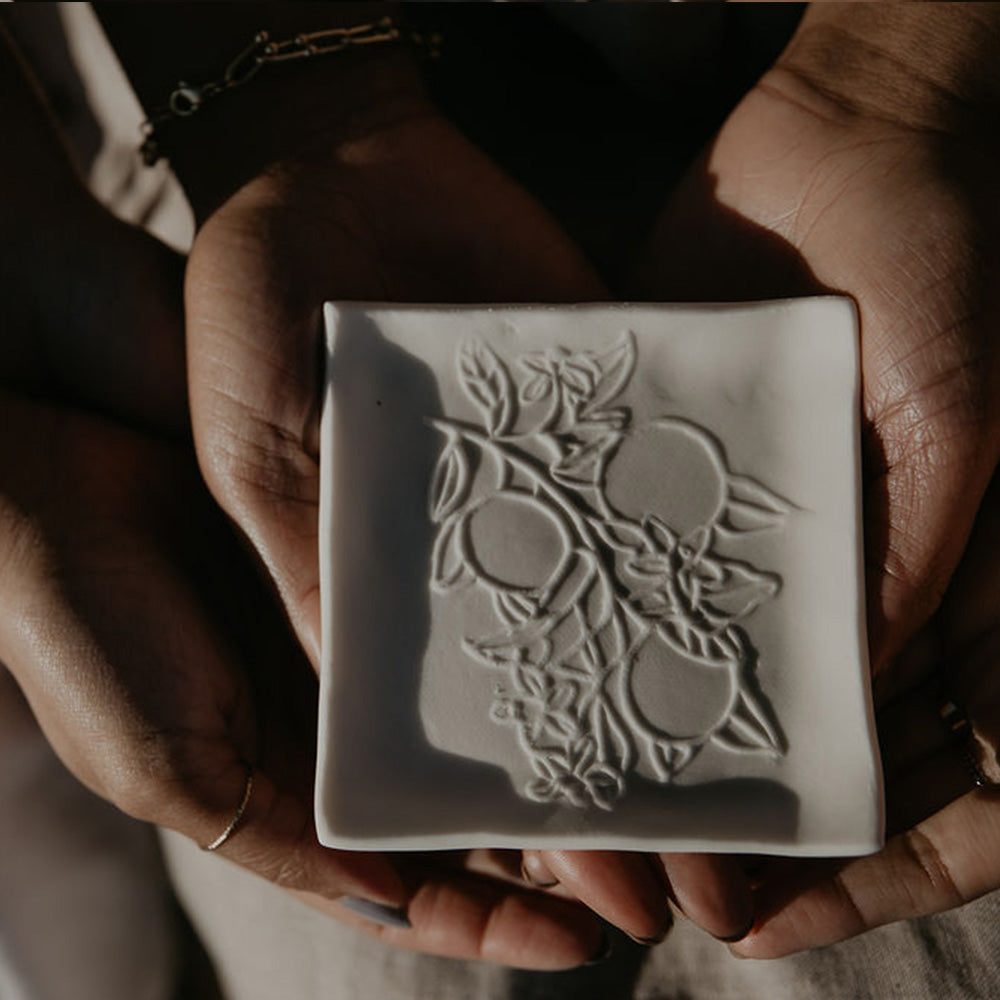
                  
                    White Porcelain Soap Dish
                  
                